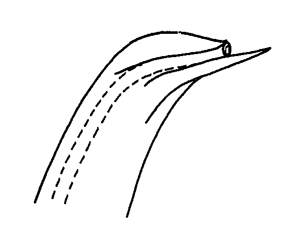 Uca maracoani insignis: Crane (1975) image