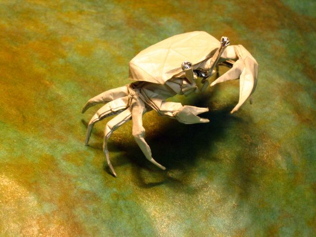 Origami Female Fiddler Crab: Brian Chan (2005) image