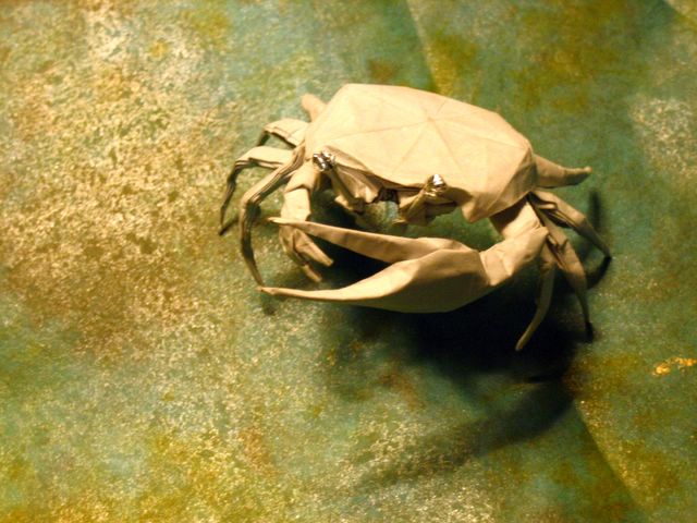 Origami Male Fiddler Crab: Brian Chan (2005) image