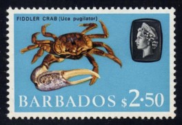 Postage Stamp: Barbados (1965) image