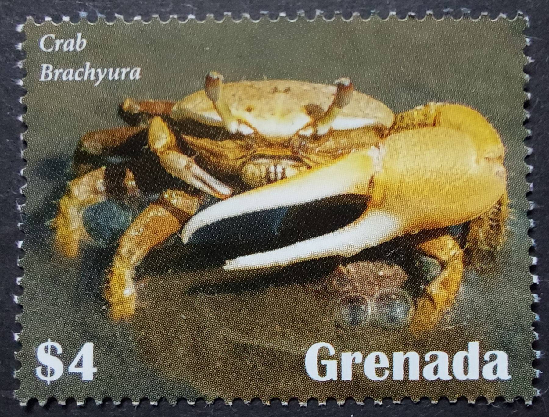 Postage Stamp: Grenada (2023) image