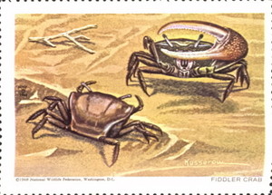 National Wildlife Federation Stamp: National Wildlife Federation (1968) image