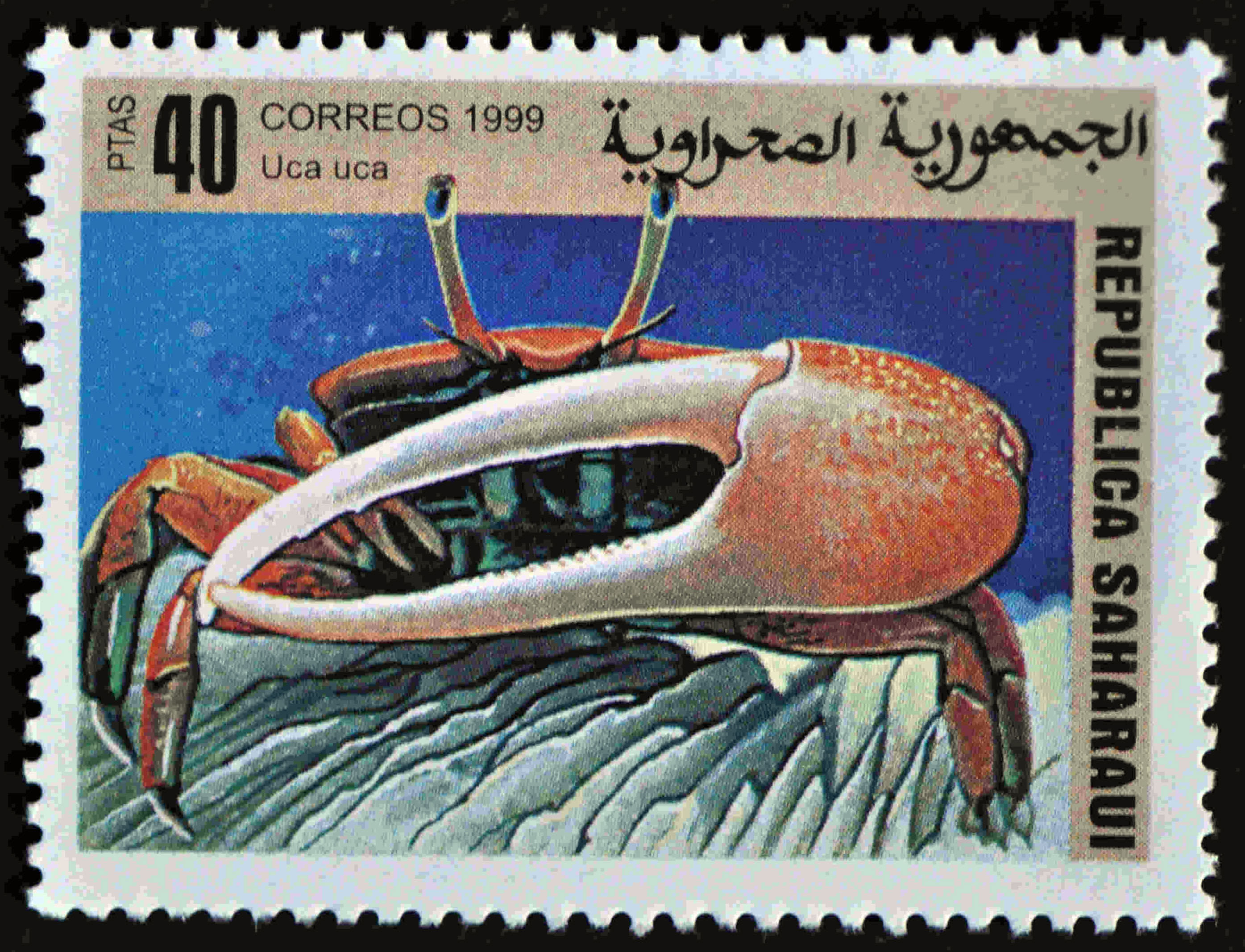 Postage Stamp: Saharaui (1999) image