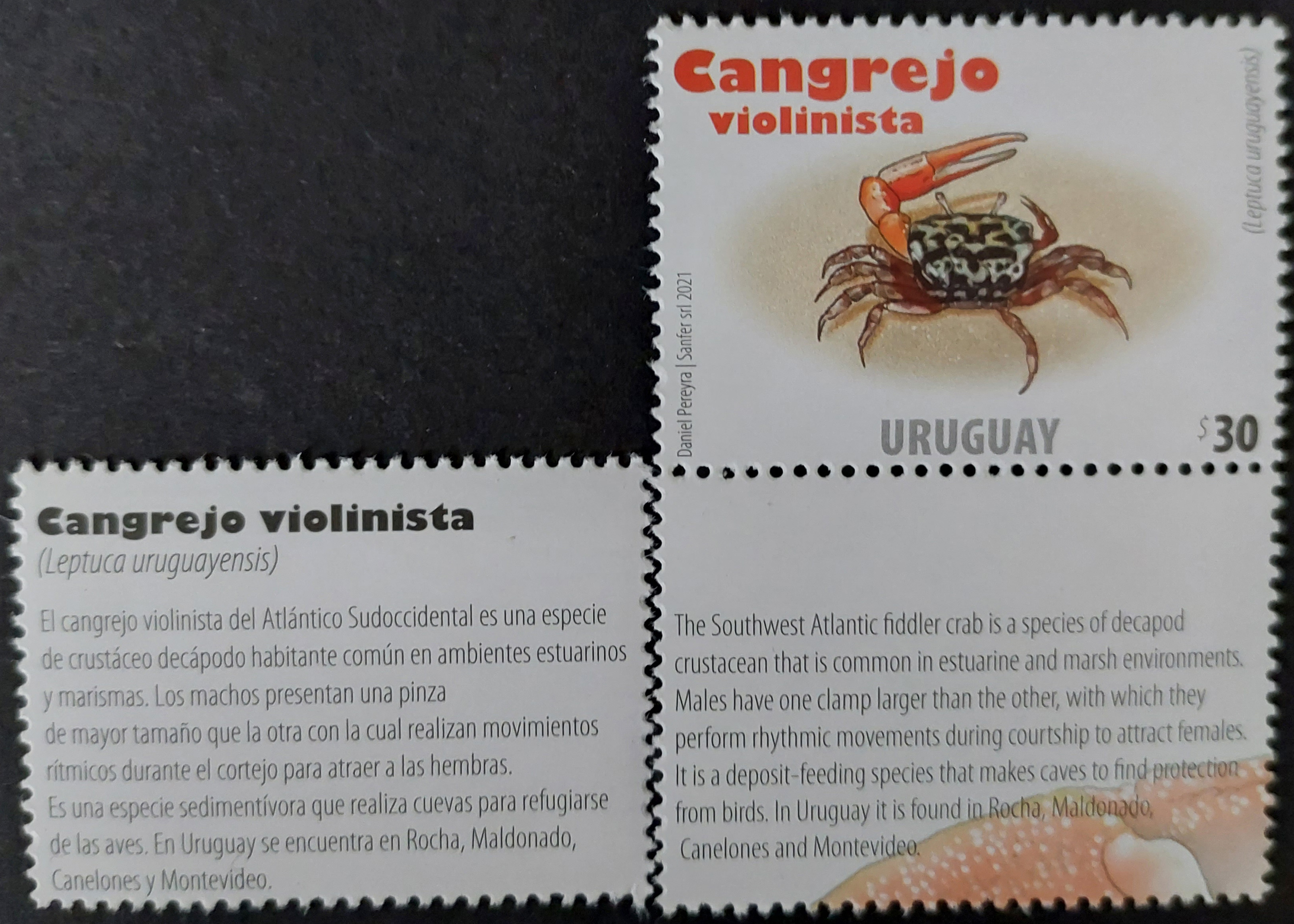 Postage Stamp: Uruguay (2021) image