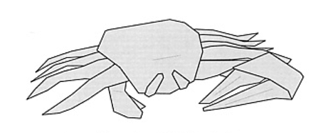 Origami Fiddler Crab: Marc Kirschenbaum (2005) image