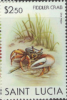 Postage Stamp: St. Lucia (1981) image